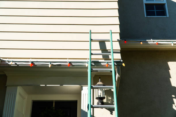 Best Stucco Siding  in Merrillville, IN