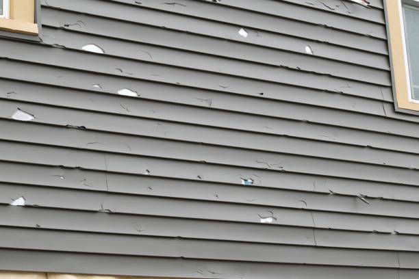 Best Vinyl Siding Installation  in Merrillville, IN